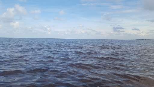 Campground «Seven Springs Travel Park», reviews and photos, 8039 Old Co Rd 54, New Port Richey, FL 34653, USA