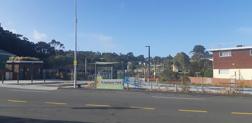 Newlands Road at Pukehuia Park
