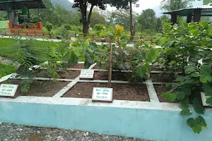 Herbal Garden image