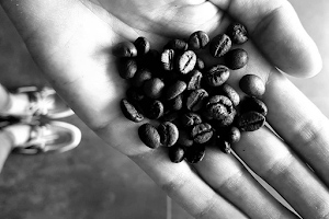 guatemala torrefazione caffè image