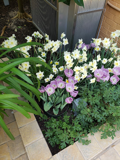 Zoo «The Maryland Zoo in Baltimore», reviews and photos, 1 Safari Place, Baltimore, MD 21217, USA