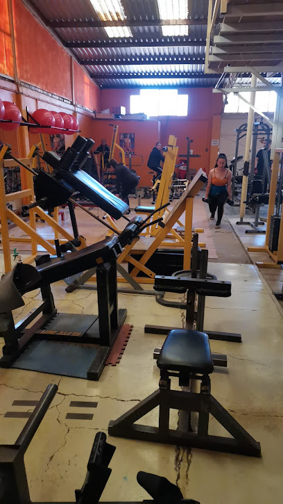 Bella,s Gym - Movimiento Territorial, Los Nogales, 34454 Canatlán, Dgo., Mexico