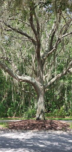 Golf Club «Westchase Golf Club», reviews and photos, 11602 Westchase Golf Dr, Tampa, FL 33626, USA