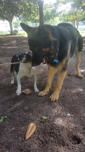 Roofing Contractor «RainTight Roofing», reviews and photos, 315 Gumtree Rd, Hilton Head Island, SC 29926, USA