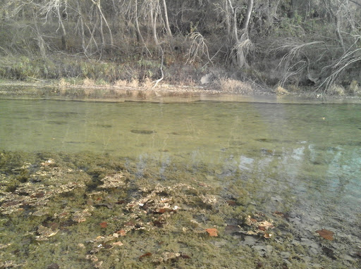 Museum «Creation Evidence Museum», reviews and photos, 3102 FM 205, Glen Rose, TX 76043, USA