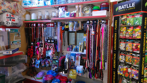 Piensos y Accesorios Sanycor en Cheste, Valencia