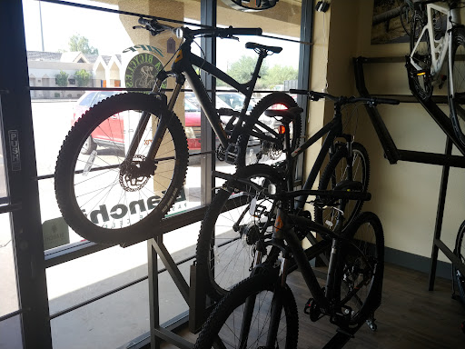 Bicycle Store «North Valley Bicycles», reviews and photos, 18409 N Cave Creek Rd, Phoenix, AZ 85032, USA