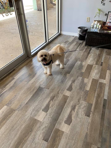 Pet Groomer «Pretty Poodles and Pets», reviews and photos, 6905 W Broward Blvd, Plantation, FL 33317, USA