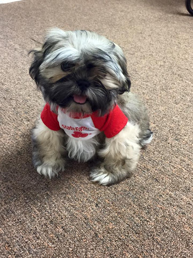 Insurance Agency «State Farm - Westminster - Miriam Lawson», reviews and photos