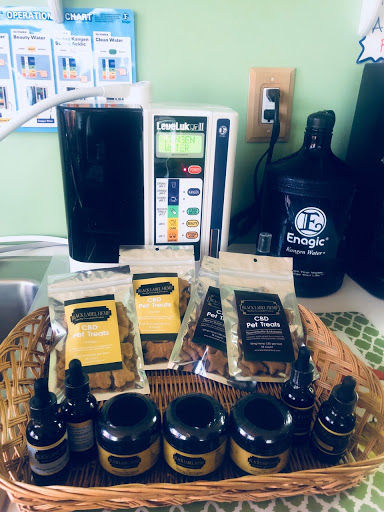 Gourmet Grocery Store «Honeytree», reviews and photos, 331 Tilton Rd #26, Northfield, NJ 08225, USA