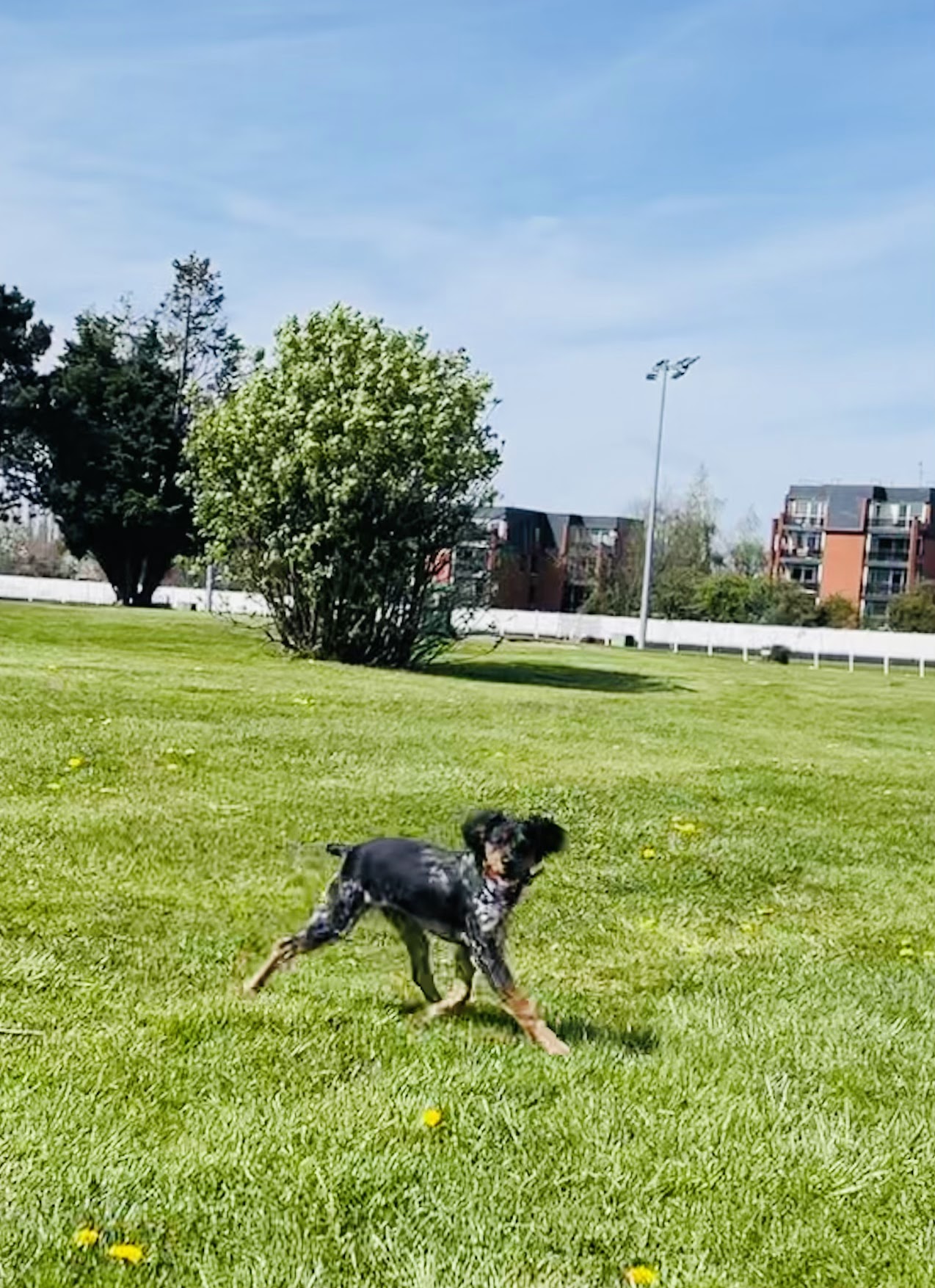 Photo n° 3 de l'avis de Matthieu. fait le 18/04/2022 à 18:13