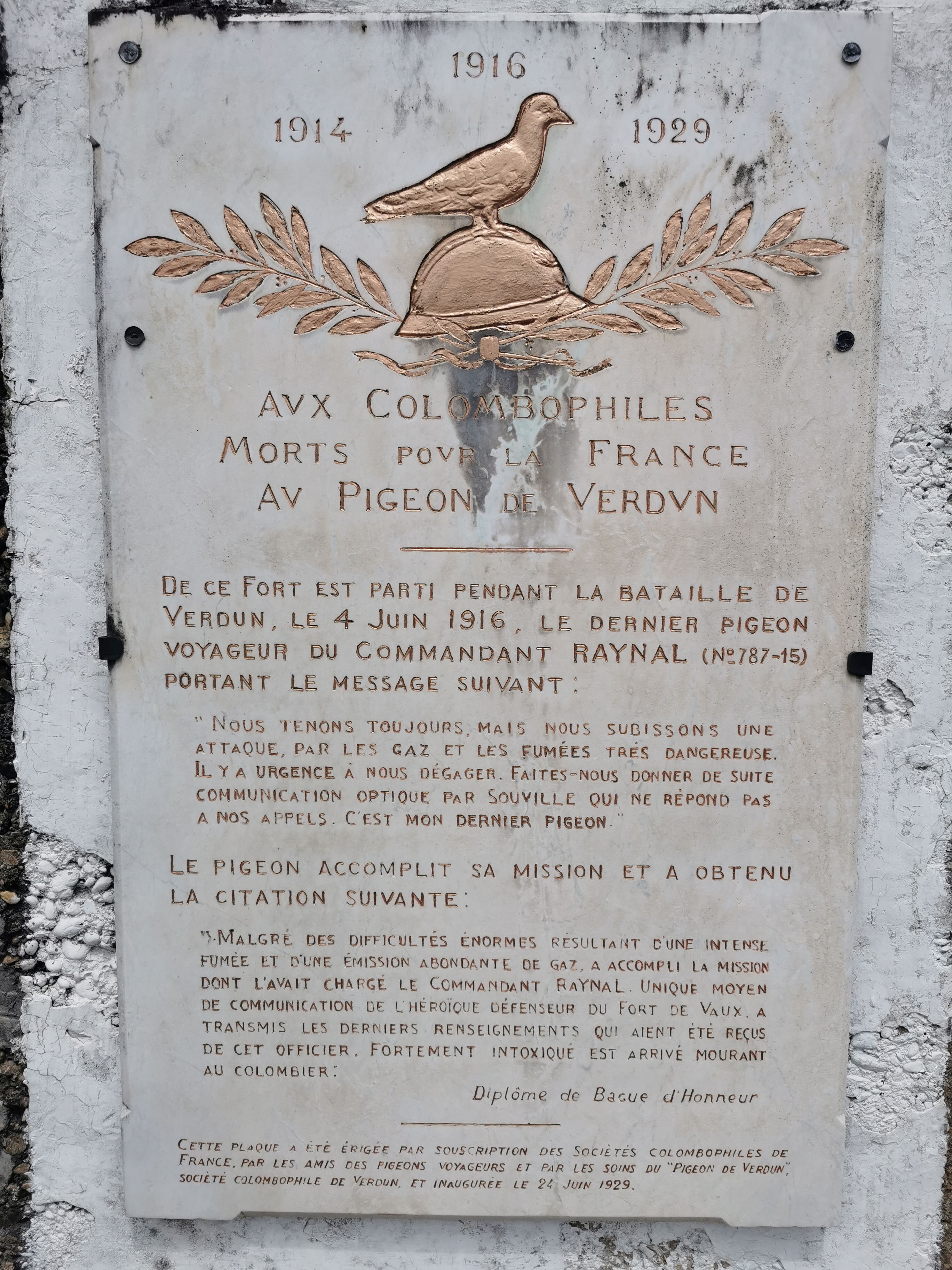 Photo n° 1 de l'avis de Aurelien.a fait le 10/07/2022 à 17:04