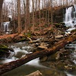 Three Falls Woods