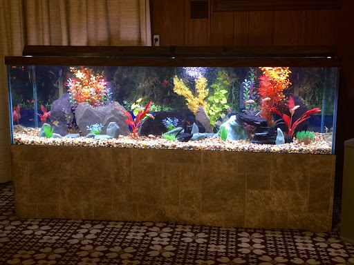 Aquarium Shop «Artistic Aquatics», reviews and photos, 1035 Forest View Dr N, Ellettsville, IN 47429, USA