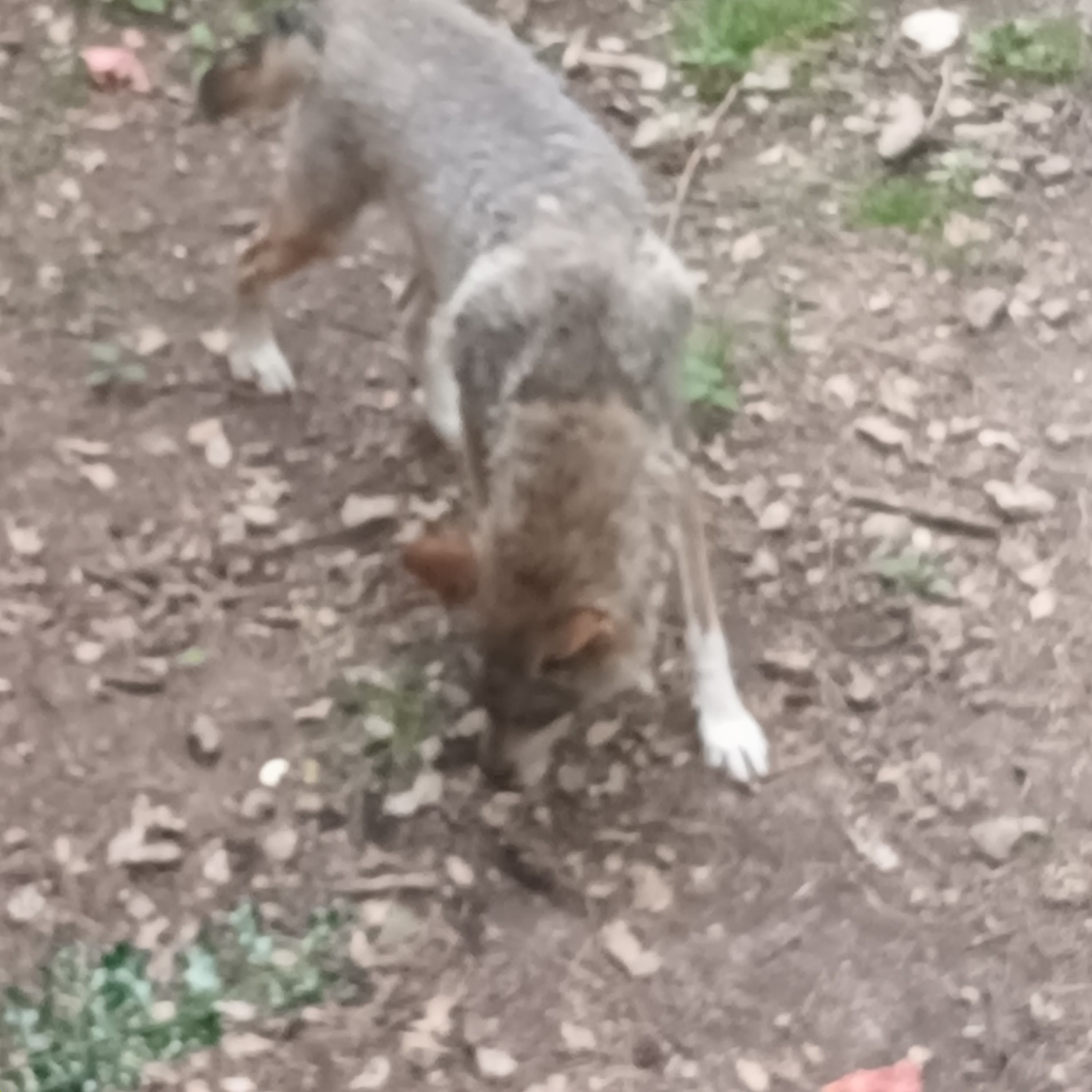 Photo n° 3 de l'avis de Jean.u fait le 20/07/2023 à 15:55