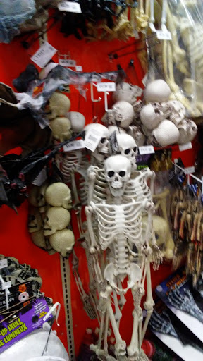 Stores to buy women's skeleton costume Tijuana