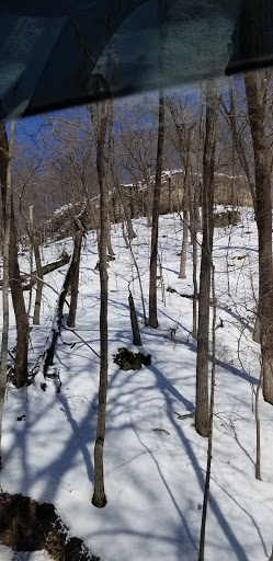 Cabin Rental Agency «Grumpsters Log Cabins», reviews and photos, 535 Ash St, McGregor, IA 52157, USA