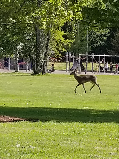 Park «Cottage Lake Park», reviews and photos, NE Woodinville Duvall Rd, Woodinville, WA 98072, USA