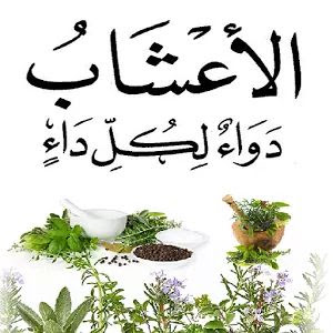 عطارة أدم