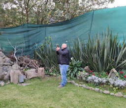 Vista Del Bosque Garden photo