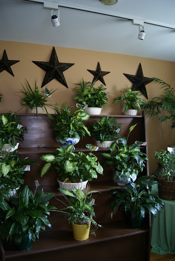 Florist «Floral Expressions», reviews and photos, 490 Buckland Rd, South Windsor, CT 06074, USA