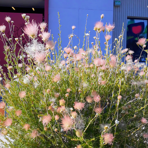 Wine Store «Total Wine & More», reviews and photos, 6701 Uptown Blvd NE, Albuquerque, NM 87110, USA