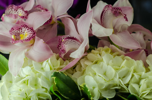 Florist «Flowermart Florist», reviews and photos, 185 E Indiantown Rd #221, Jupiter, FL 33477, USA