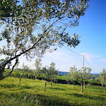 Photo n°9 de l'avis de Mara.a fait le 23/06/2021 à 05:29 sur le  Agriturismo Colle Tripio à Guardiagrele