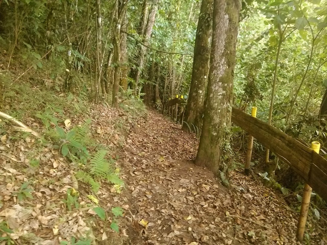 Sendero Ecologico De Mitos Y Leyendas Jaime Fernandez Botero.