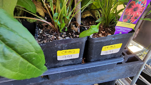 Hardware Store «Newberg Hardware», reviews and photos, 2100 Portland Rd, Newberg, OR 97132, USA