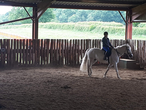 Friars Hill Riding Stables