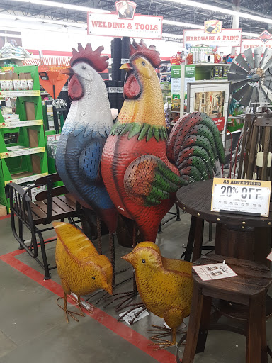 Home Improvement Store «Tractor Supply Co.», reviews and photos, 13500 Benns Church Blvd, Smithfield, VA 23430, USA