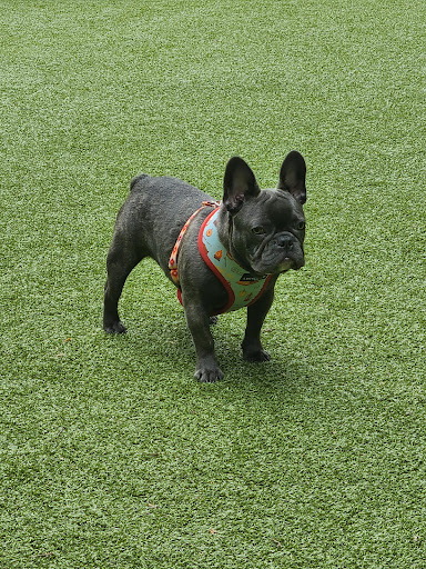 Park «Van Vorst Park», reviews and photos, 257-287 Montgomery St, Jersey City, NJ 07302, USA