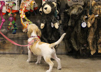 Chuck & Don's Pet Food & Supplies - Photo 1 - Car repair in Derby, KS, Wichita