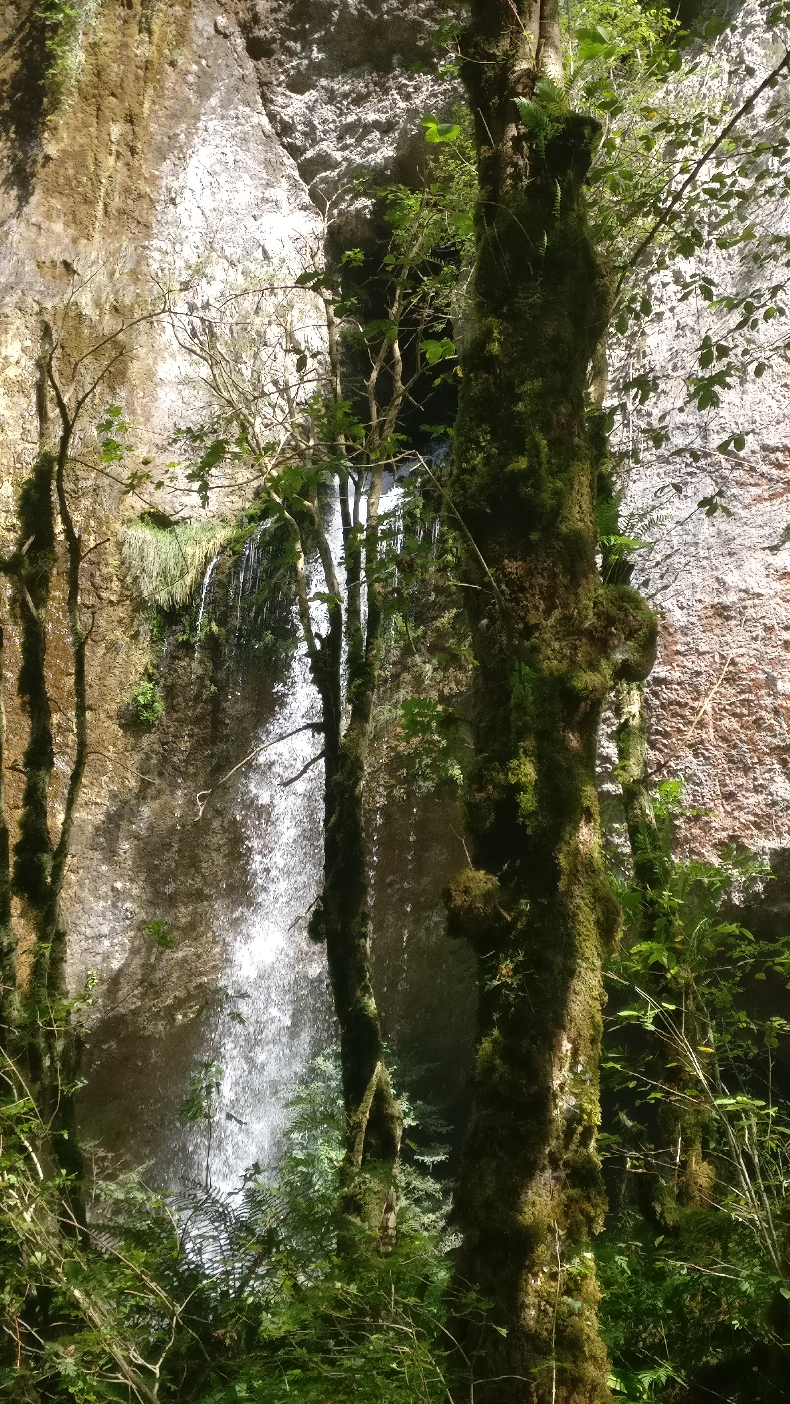 Photo n° 1 de l'avis de Alexis.I fait le 06/08/2018 à 18:10