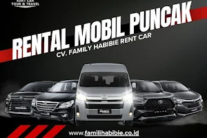 FAMILY HABIBIE Rent Car & Driver Rental Mobil Puncak Cisarua Bogor image