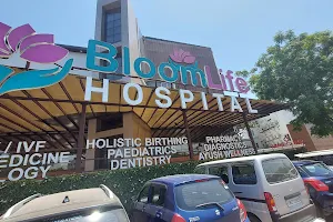 BloomLife Hospital image