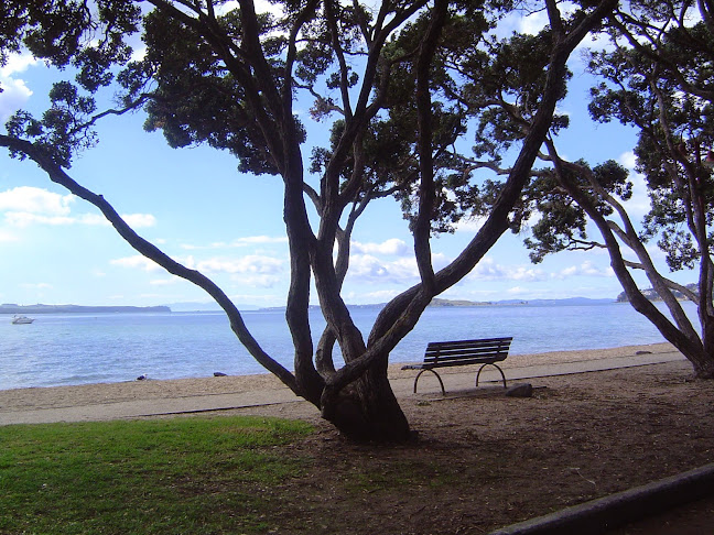 Auckland Twin Harbours Tours and Transfers - Auckland