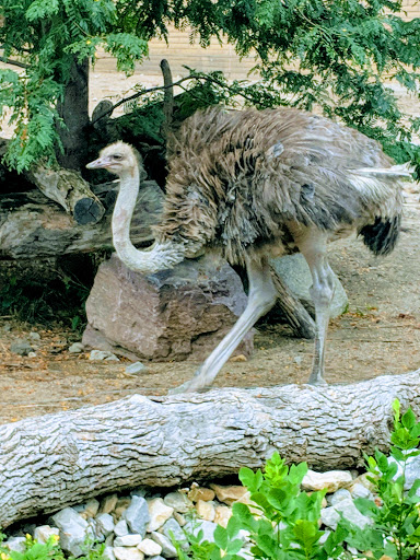 Zoo «Blank Park Zoo», reviews and photos, 7401 SW 9th St, Des Moines, IA 50315, USA