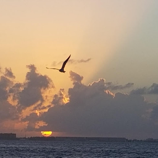 Auto Repair Shop «Katc Automotive llc», reviews and photos, 314 Old Millwood Rd, Rockwall, TX 75087, USA