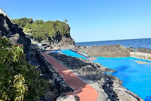 Izu Oceanic Park image