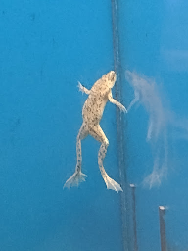 Pet Store «G & M Pet & Garden Center Inc», reviews and photos, 2014 N Walnut St, Muncie, IN 47303, USA