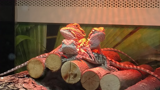 Pet Supply Store «PetSmart», reviews and photos, 291 Skokie Blvd, Northbrook, IL 60062, USA