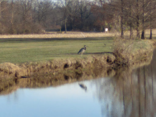 Public Golf Course «The Woodlands Golf Club & Banquet Facility», reviews and photos, 2839 Harris Ln, Alton, IL 62002, USA