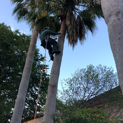 Hooks-Scapes Tree Service & Landscpaing