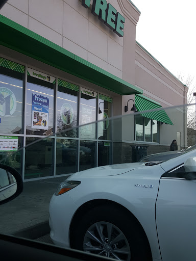 Dollar Store «Dollar Tree», reviews and photos, 713 E Main St, Brownsburg, IN 46112, USA