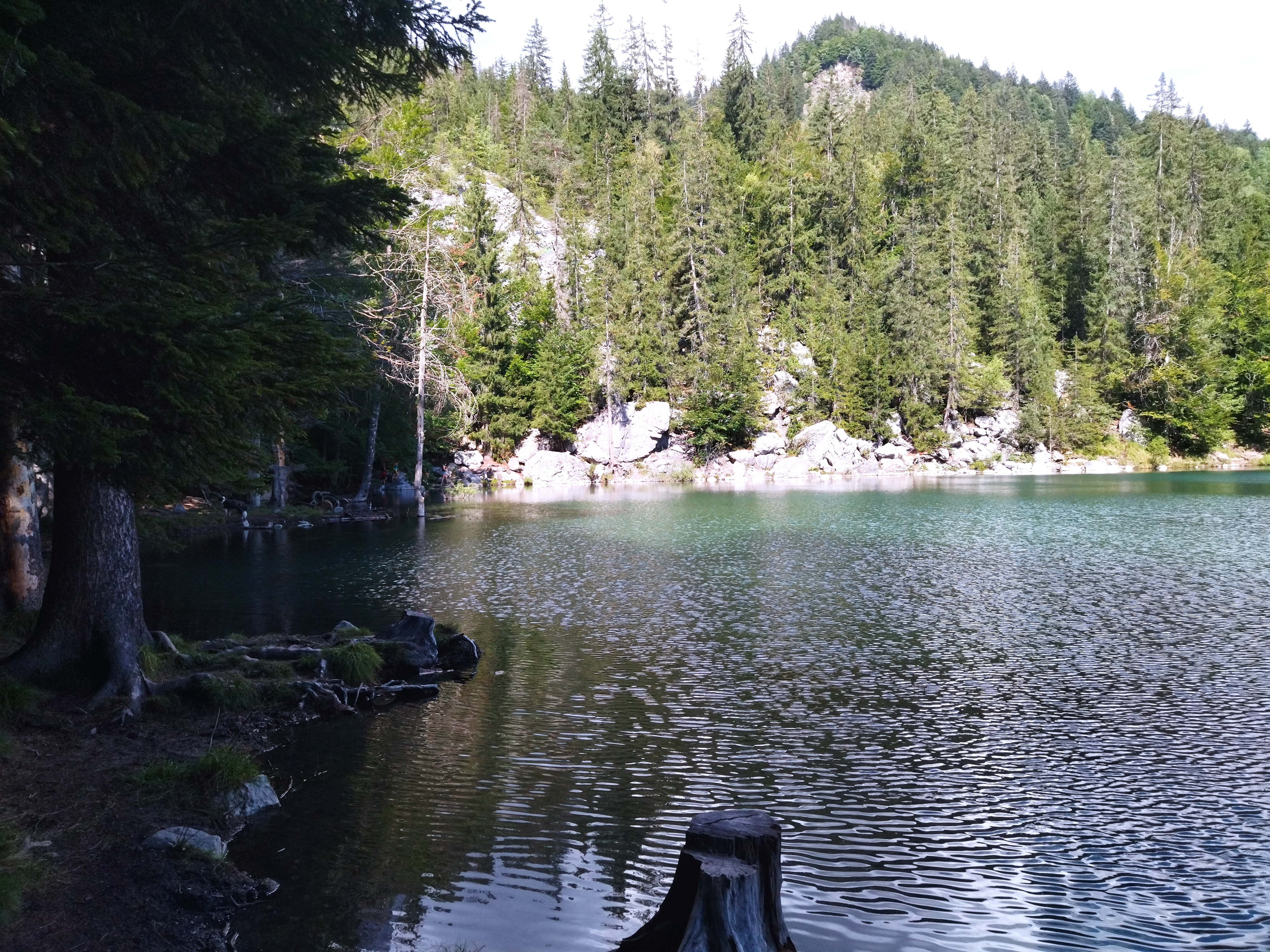 Photo n° 1 de l'avis de Sébastien.H fait le 27/08/2022 à 17:35