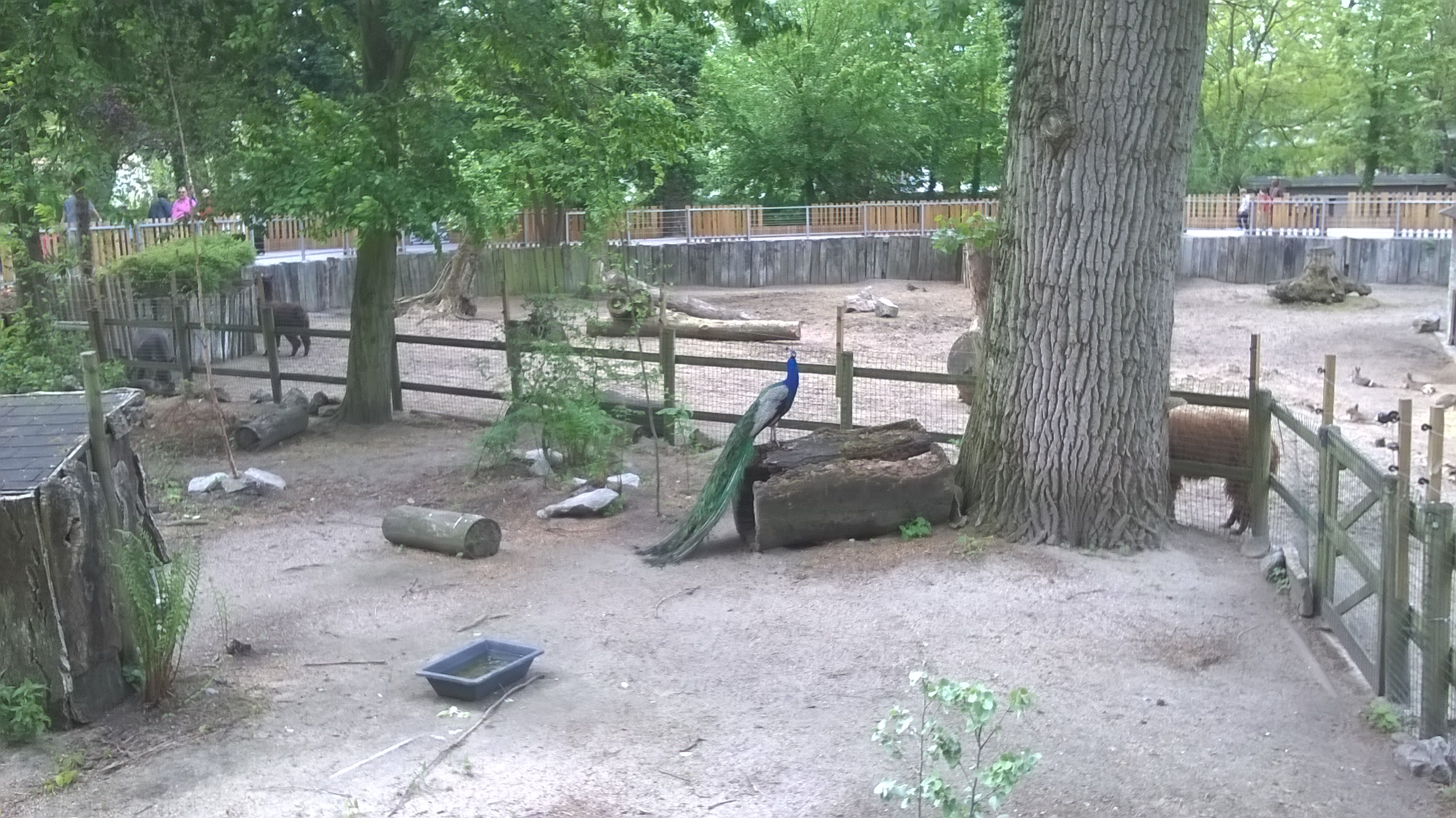 Photo n° 4 de l'avis de J-F.. fait le 01/06/2022 à 15:25