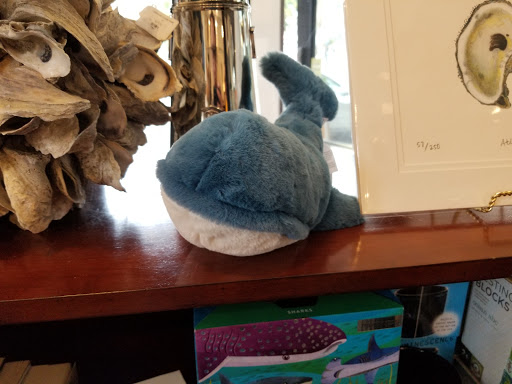 Museum «Museum of Newport History», reviews and photos, 127 Thames St, Newport, RI 02840, USA