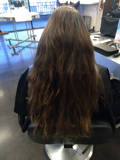 Beauty School «Ogle School of Hair, Skin & Nails - Dallas», reviews and photos, 6333 E Mockingbird Ln #201, Dallas, TX 75214, USA